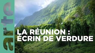 La Réunion le renouveau des jardins créoles  360° Reportage  ARTE Family [upl. by Lucian]