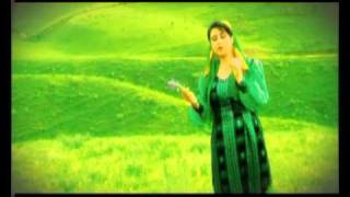 Jawid Khoshnood  Dil Shoda Mayelat  NEW AFGHAN SONG [upl. by Eiramave693]