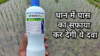 रिफिट प्लस हर्बिसाइडधान का खरपतवार नाशक प्री इमरजेंस हर्बिसाइडrifit plus herbicide syngentapaddy [upl. by Raye]