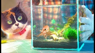 WE ARE MAKING AN UNDERWATER TERRARIUM [upl. by Steffin]