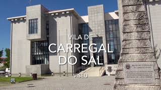 Vila de Carregal do Sal  Viseu [upl. by Einial]