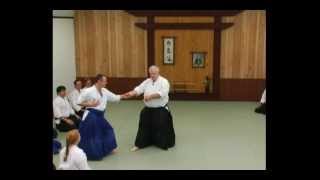 Aikido  Principles of the quotEntryquot  G Ledyard  DVD Sample Clip [upl. by Ruckman]