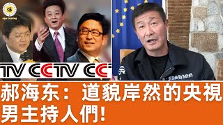 【郝海东】CCTV男主持们毫无道德底线道貌岸然，张宏民骂粉丝傻逼，朱军玩弄观众“看我把这帮傻逼弄哭”，许旸童可欣乱交，张斌数次出轨 郝海东 张斌 朱军 白岩松 许旸 童可欣 足球 [upl. by Dinin]