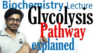 Glycolysis biochemistry [upl. by Yrrok]