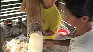 Making Cassareep in Guyana [upl. by Neneek]