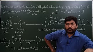 L3 Mechanism of imine formation For JEE NEET and ACADEMIC [upl. by Eejan]