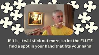 One Minute SCHOCKER  Flute for Thought EPISODE 4  Finger Length schocker flute musician [upl. by Winer]