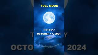 Lunar Calendar October 2024 [upl. by Atnas]