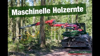 HSM 904 H  Maschinelle Holzernte  Kesla 25 RH II [upl. by Shara]