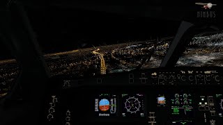 Nimbus Simulation JFK XP12  Canarsie approach [upl. by Jc334]