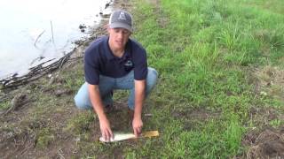 Pond Management Harvesting Largemouth Bass Bluegill amp Bream in Recreational Fishing Ponds [upl. by Bega]