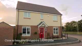 Taylor Wimpey  The Milldale at Matrix [upl. by Aihsemot]