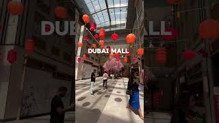 Dubai mall  Part 1  vlog channel [upl. by Ydisahc539]