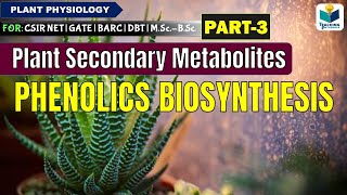 PLANTS SECONDARY METABOLITESPART3  PHENOLICS BIOSYNTHESIS CSIR NET [upl. by Atnahs]