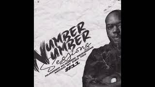 Number Number Sessions Mixed amp Compiled By Dzo 729 [upl. by Giamo]