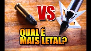 Teste 22 LR vs BALESTRA  QUAL FAZ MAIS ESTRAGO [upl. by Nodnorb]