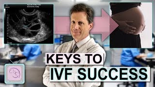 Infertility Treatment for Women  IVF with Dr Randy Morris [upl. by Xer]