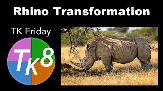 TK Friday Rhino Transformation Image by James May [upl. by Grizel41]