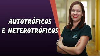 Autotróficos e Heterotróficos  Brasil Escola [upl. by Ecirad]