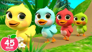 5 Little Ducks song  Newborn Baby Songs amp Nursery Rhymes [upl. by Rhodia966]