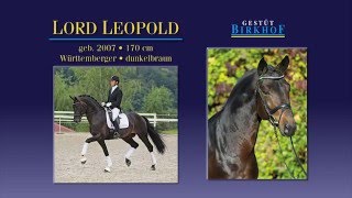 Lord Leopold 2016 [upl. by Lashonda342]