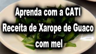 SAA  Receita Xarope de Guaco com mel [upl. by Corabella]