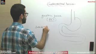 Gastrointestinal hormones  Chapter 6  Biology   عبد الله رضا MD  Rocademia روكاديميا [upl. by Elwira]