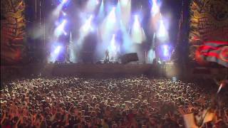 Papa Roach  Dead Cell Live  Woodstock Poland 2010 [upl. by Alayne]