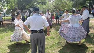 BAILARINA Y CANCIÓN  Alvarez B Regner 1er Premio Chamarrita Inédita Santa Elena [upl. by Flyn]