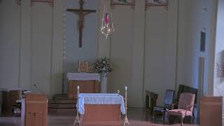 August 25 2024 at 400 pm Catholic Mass from St Philip in Vacherie LA [upl. by Zurek]