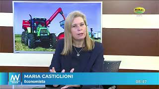 María Castiglioni  Economista [upl. by Anirbak377]