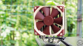 Noctua NHU12S Review [upl. by Nyltyak]