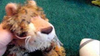 webkinz funniest home videos se1 ep24 [upl. by Kilan132]