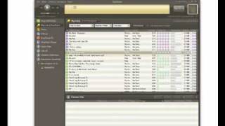 Program P2P Bearshare Tutorial [upl. by Akenat283]