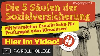 Die 5 Zweige der Sozialversicherung Die 5 Säulen der Sozialversicherung [upl. by Adniuqal828]