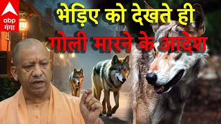 Wolf Attack Bahraich में भेड़िए के आतंक पर CM Yogi ने देखते ही गोली मारने के आदेश दिए [upl. by Eydie63]