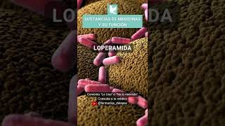 142 Loperamida  Sustancias activas en medicinas y sus indicaciones PLM medicamentos farmacia [upl. by Lucio]