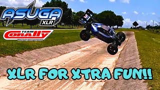 Massive Buggy FromTeam Corally The Asuga XLR Honest Review And Bash [upl. by Marvella]