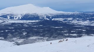 FÖRSTA DAGEN I TRILLEVALLEN FÖR SÄSONGEN [upl. by Heather]