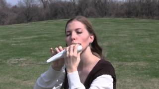 Rohan Theme from the Lord of the Rings on STL Ocarina [upl. by River]