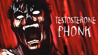 1 HOUR TESTOSTERONE PHONK  Сборник Разрывного Фонка [upl. by Salvatore]