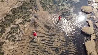 Mavic Mini Cambois Beach [upl. by Ludewig13]