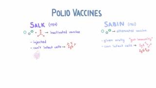 Polio Vaccines  Salk vs Sabin [upl. by Margret]