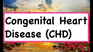 Congenital Heart Disease CHD  Hindi amp English [upl. by Edeline268]