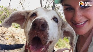 Dog Who Spent 7 Years In The Shelter Is SO Happy To Have A Family  The Dodo Faith  Restored [upl. by Corbet]