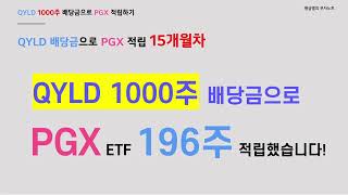 QYLD 1000주 배당금 재투자 수익률이 20를 넘었습니다 [upl. by Ellatsyrc]