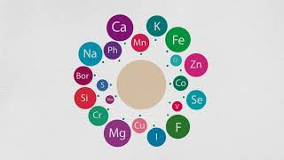 ¿Cuáles son los beneficios de usar Bioxinis [upl. by Inimak]