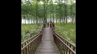 Cuivre River State Park August 4 2018 [upl. by Lombardy]