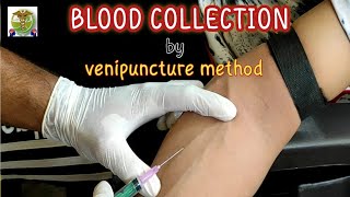 Blood collection by venipuncture method l How to collect venous blood l safe and effective way [upl. by Gaskill364]