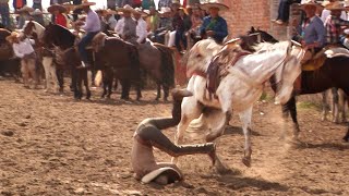 56  Lo Mejor de los Coleaderos  Santa Maria de los Angeles Jalisco [upl. by Flannery]